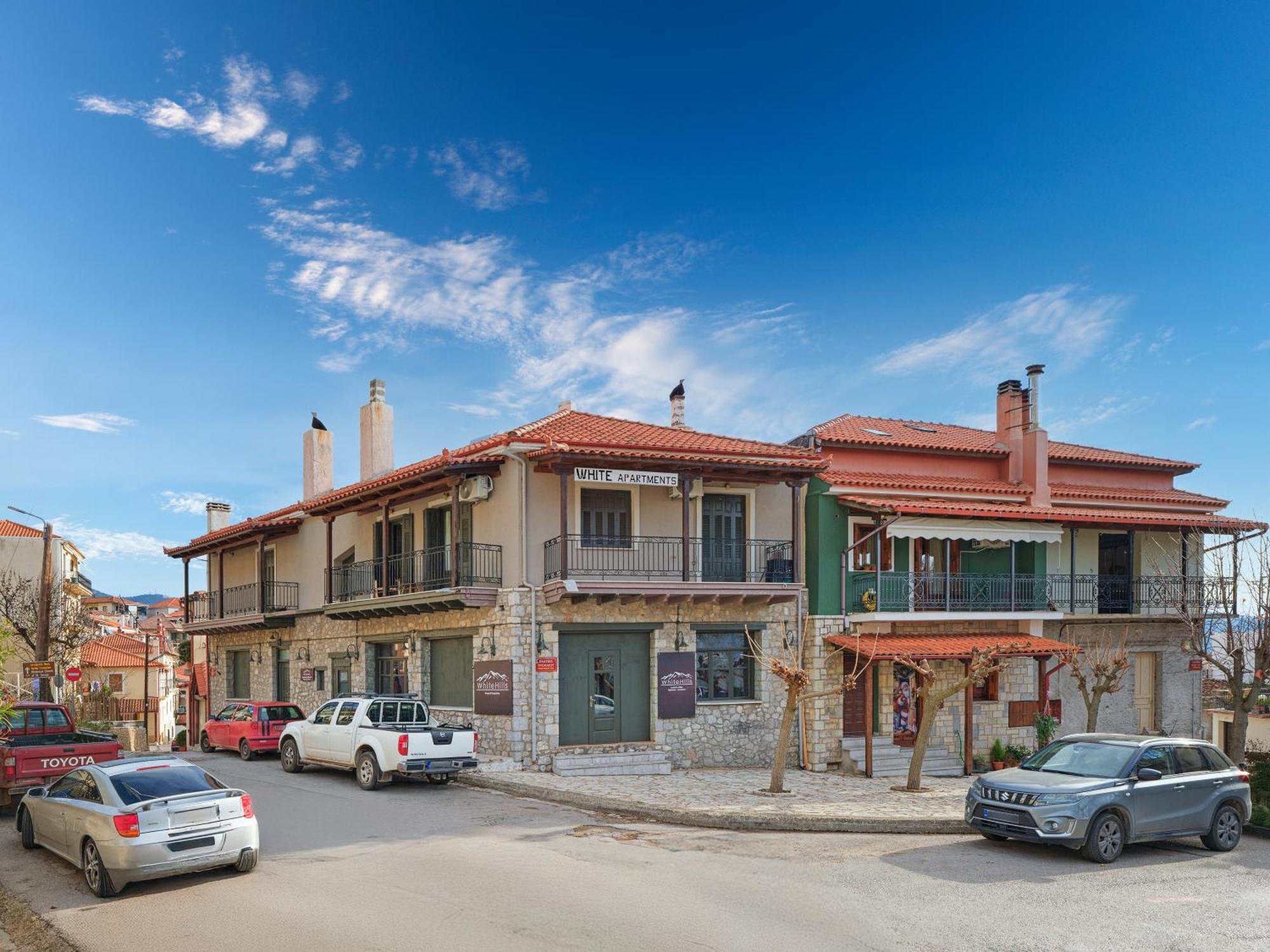 White Hills Suites & Spa Arachova Luaran gambar